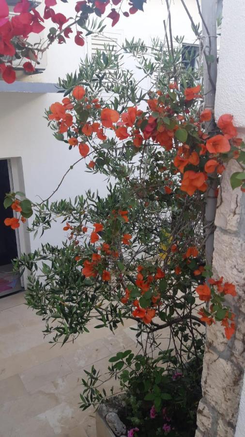 Hvar Deluxe Rooms ฮวาร์ ภายนอก รูปภาพ